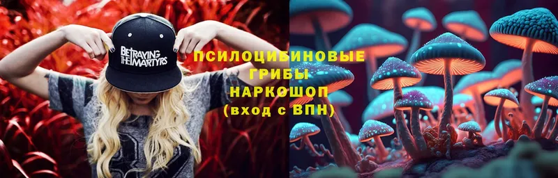 Псилоцибиновые грибы MAGIC MUSHROOMS  Котлас 